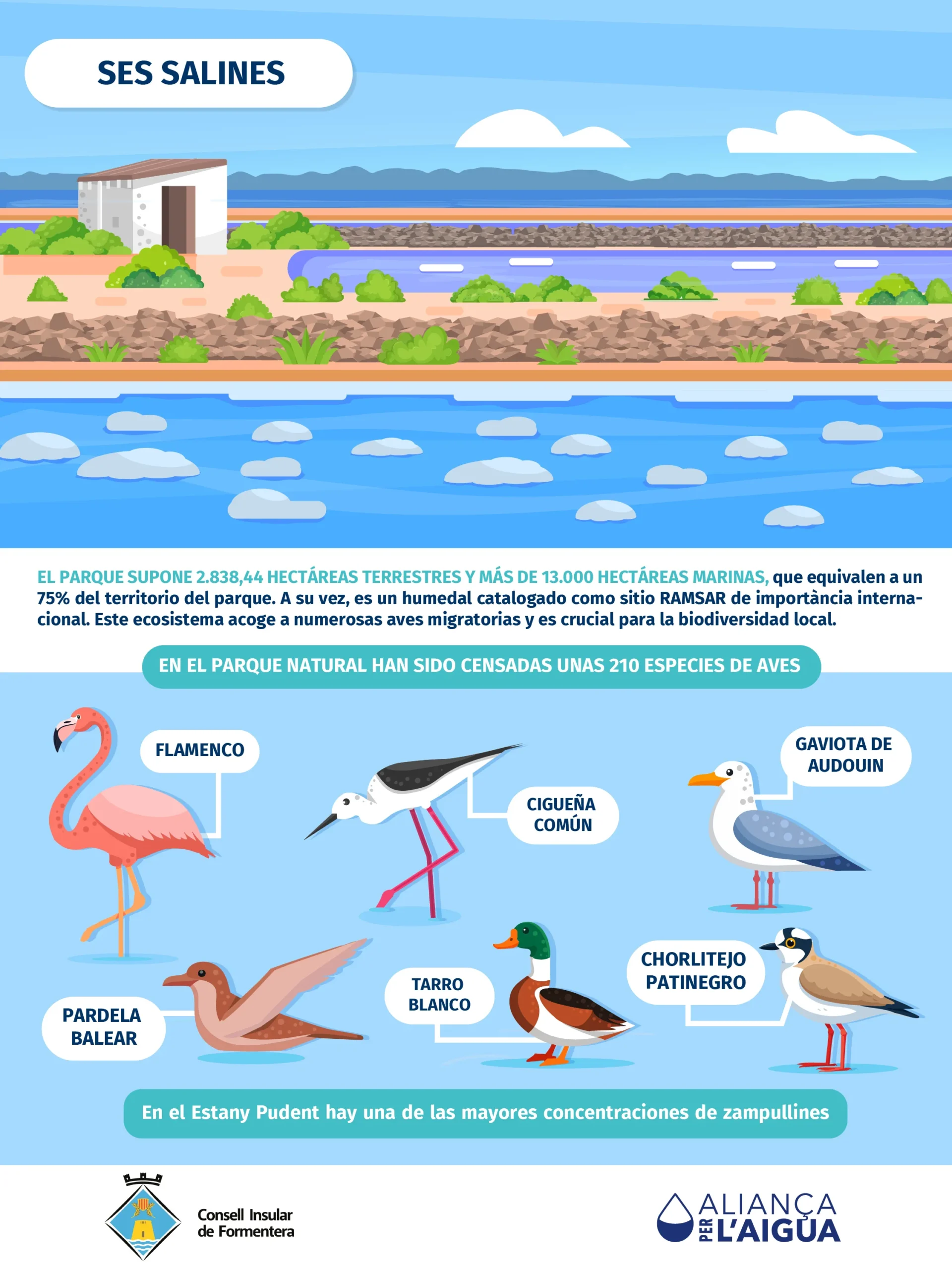 01.-Ses-salines-02.png