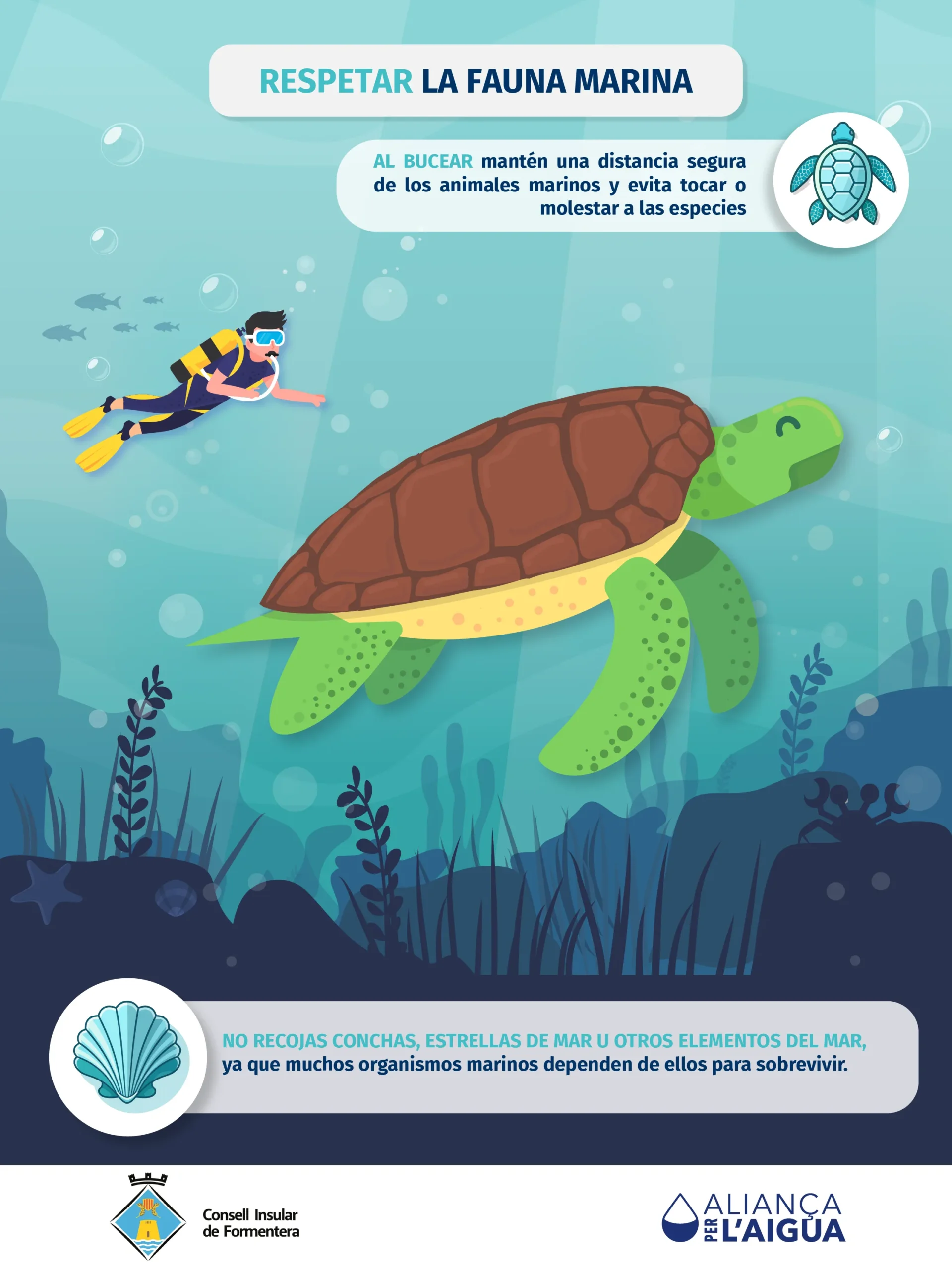 05-Respetar-la-fauna-marina.png